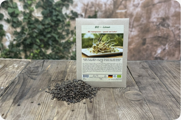 Lentil sprouts