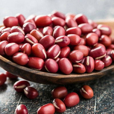 Adzuki Bean Sprouts