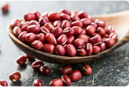 Adzuki Bohnen - Keimsprossen