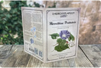 Himmelblaue Prunkwinde