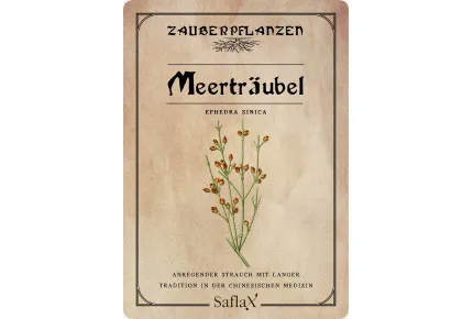 Meerträubel