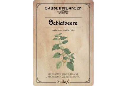 Schlafbeere