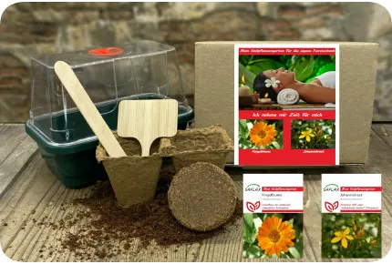 Anzuchtset - Ich nehme mir Zeit für mich