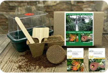 Anzuchtset - Faszination Tropischer Regenwald