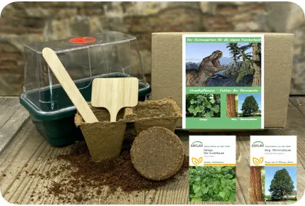 Anzuchtset - Urweltpflanzen - Futter der Dinosaurier
