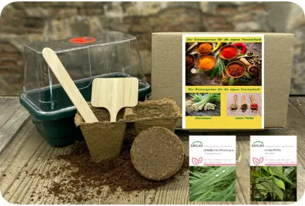 Anzuchtset - Exotischer Gewürzgenuss