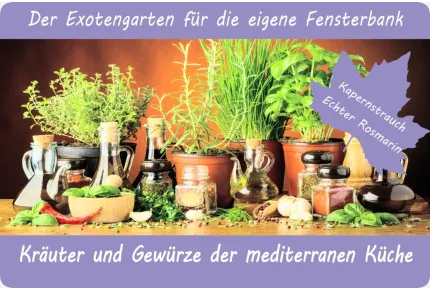 Anzuchtset - Kräuter und Gewürze der mediterranen Küche