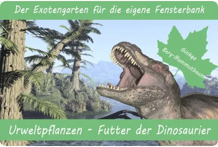 Anzuchtset - Urweltpflanzen - Futter der Dinosaurier