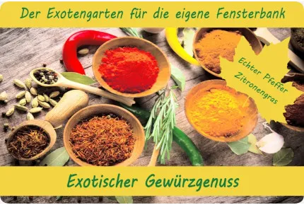 Anzuchtset - Exotischer Gewürzgenuss
