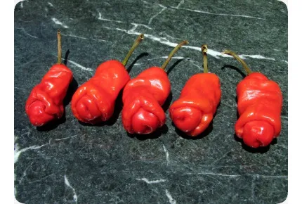 Chili - Peter Peppers Penis Chili