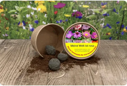 Meine Welt ist rosa - Samenbälle