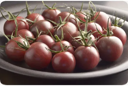 BIO - Tomate - Black Cherry