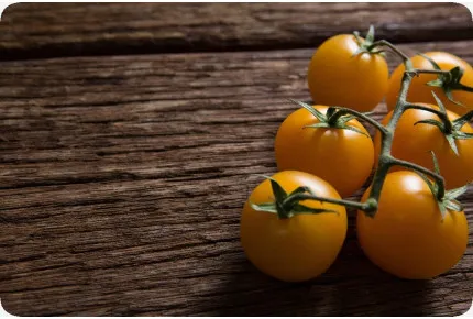 BIO - Tomate - Golden Queen