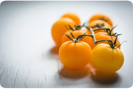 BIO - Tomate - Golden Queen