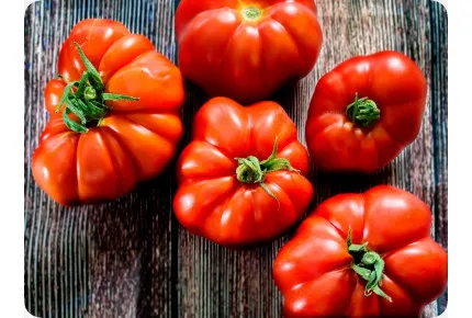 BIO - Tomate - Rouge de Marmande