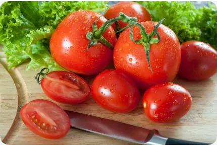 BIO - Tomate - Saint Pierre