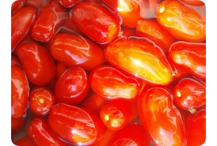 BIO - Tomate - San Marzano