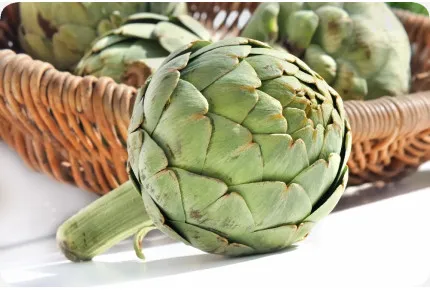 BIO - Artischocke - Imperial Star