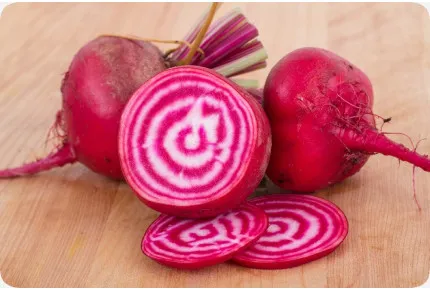 BIO - Rote Beete - Chioggia