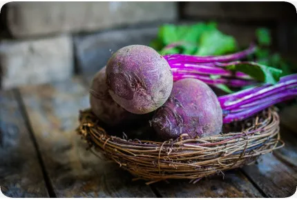 BIO - Rote Beete - Chioggia