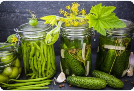 BIO - Gurke - Vorgebirgstraube