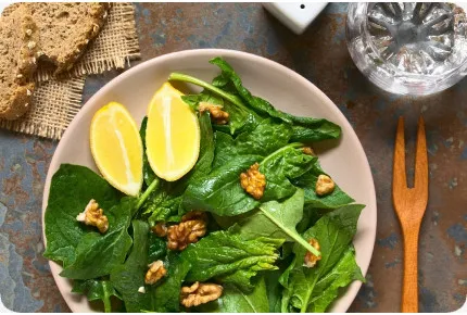 BIO - Spinat - Winterriese