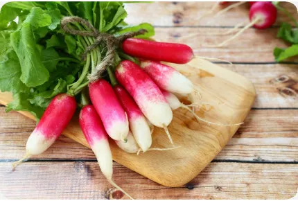 BIO - Radieschen - French Breakfast