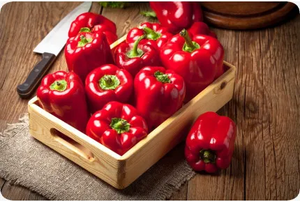 BIO - Paprika - California Wonder - Rot