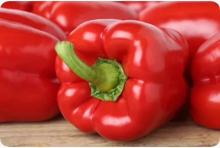 BIO - Paprika - California Wonder - Rot