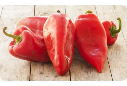 BIO - Paprika - Long Red Marconi