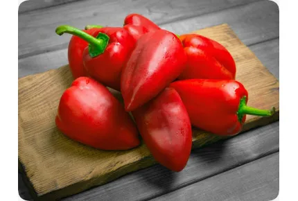 BIO - Paprika - Long Red Marconi