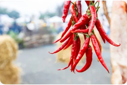 BIO - Chili - De Cayenne Long Slim