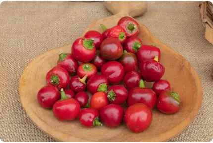 BIO - Chili - Piccante Cilieglia