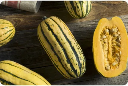 BIO - Kürbis - Delicata