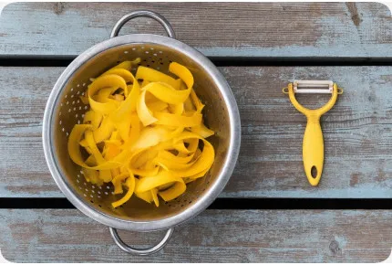 BIO - Ziucchini - Gold Rush