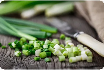 BIO - Frühlingszwiebel - Weißer Lissabonner