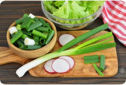 BIO - Frühlingszwiebel - Japanische Ishikura