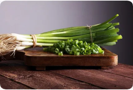 BIO - Frühlingszwiebel - Japanische Ishikura