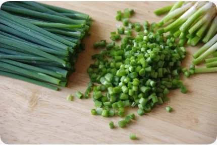 BIO - Frühlingszwiebel - Japanische Ishikura