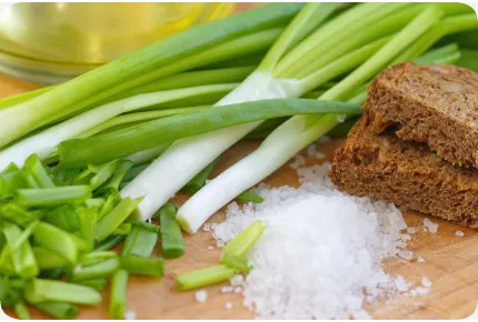 BIO - Frühlingszwiebel - Japanische Ishikura