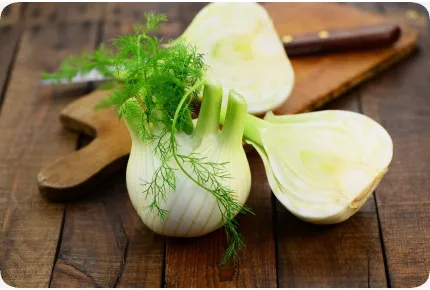 BIO - Knollenfenchel