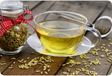 BIO - Knollenfenchel