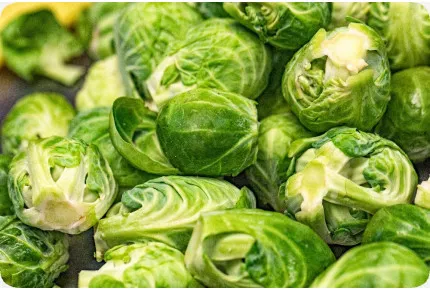 BIO - Rosenkohl - Groninger