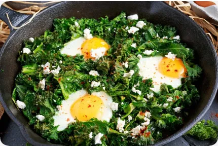 BIO - Grünkohl - Westland Winter