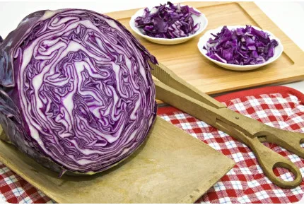 BIO - Rotkohl - Red Drumhead