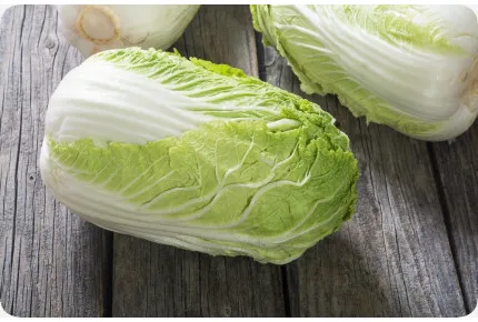 BIO - Chinakohl - Granat