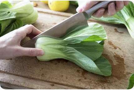 BIO - Chinesischer Senfkohl - Pak Choi