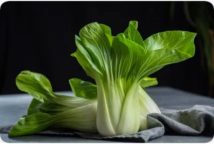 BIO - Chinesischer Senfkohl - Pak Choi