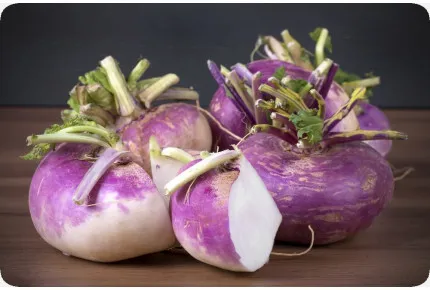 BIO - Kohlrabi - Milan Purple