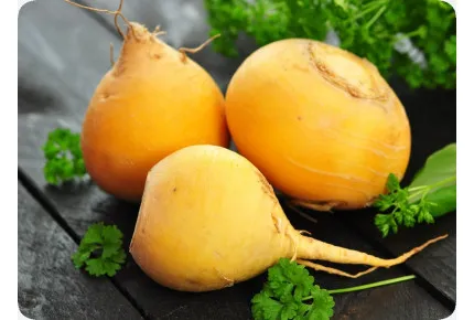 BIO - Rübe - Goldana